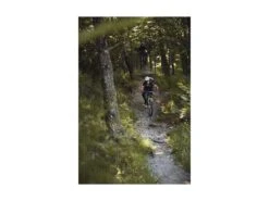 ABUS Casque MoDrop VTT Dusky Camel -Vélos Série Boutique abus casque modrop vtt dusky camel 14