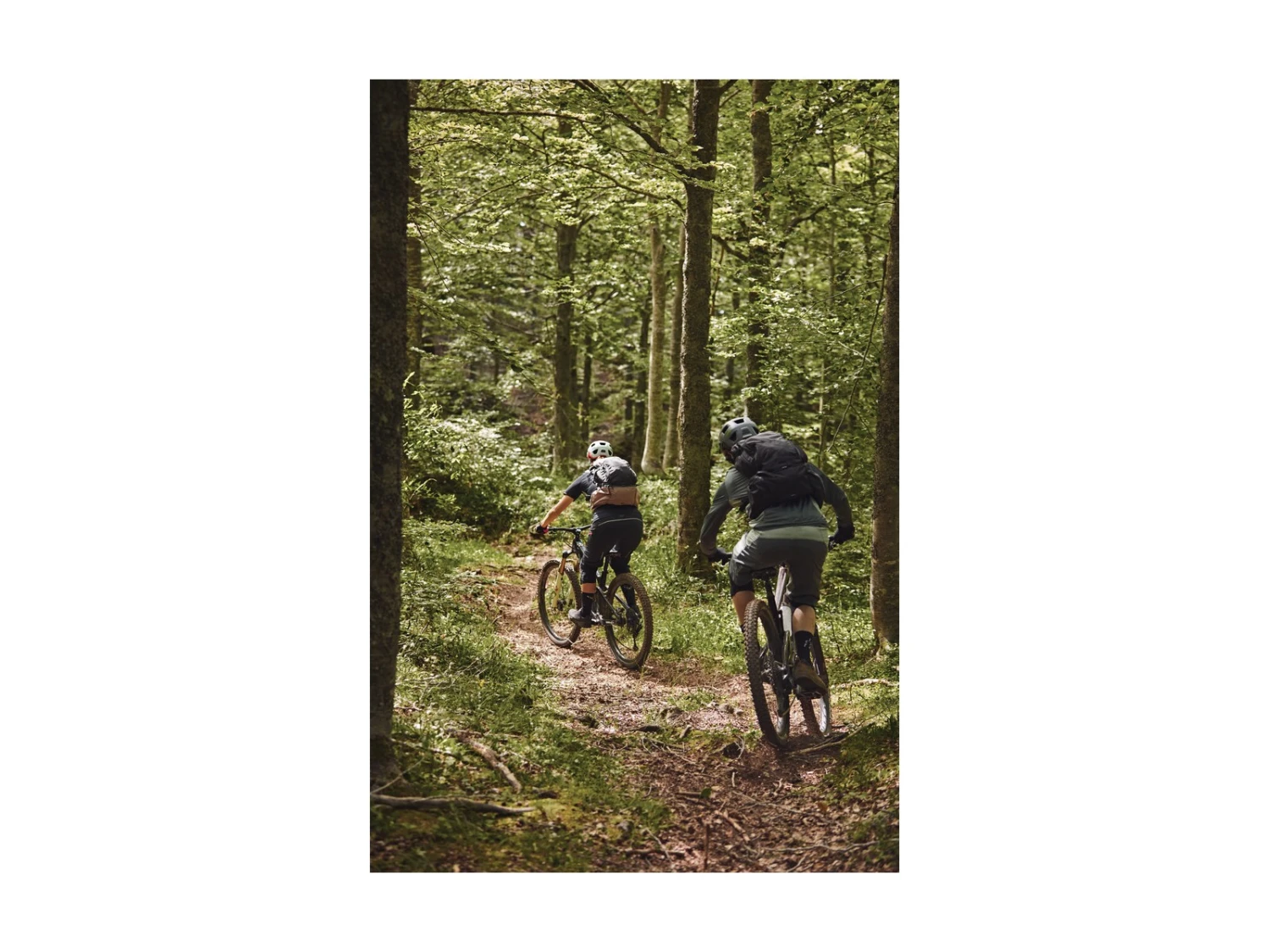 ABUS Casque MoDrop VTT Velvet Black 18 ABUS Casque MoDrop VTT Velvet Black – Image 16