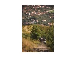 ABUS Casque VTT MoDrop Pine Green -Vélos Série Boutique abus casque vtt modrop pine green 12