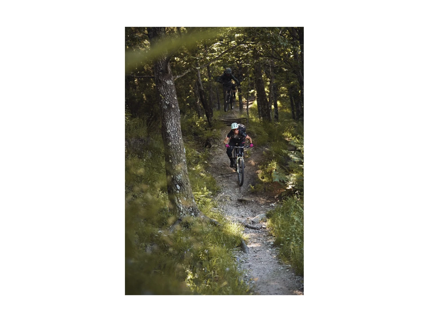 ABUS Casque VTT MoDrop Polar White 17 ABUS Casque VTT MoDrop Polar White – Image 15