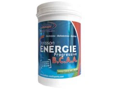 FENIOUX Multisports Boisson énergie Progressive BCAA Citron Vert / Menthe - 600g