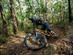 ROCKSHOX Fourche Zeb Ultimate Charger 2.1 RC2 29'' Boost 15x110 Déport 44mm 190mm Noir -Vélos Série Boutique rockshox fourche zeb ultimate charger 21 rc2 29 boost 15x110 deport 44mm 190mm noir 4